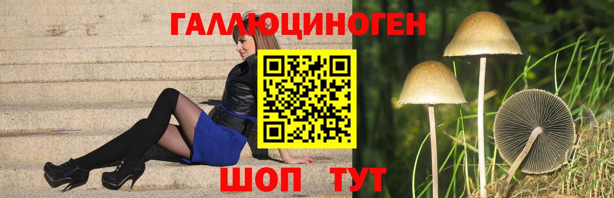 Избербаш  Псилоцибиновые грибы мицелий  Вход с VPN 